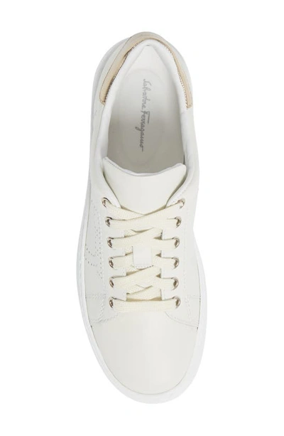 Shop Ferragamo Pierre Sneaker In White/ Mekong