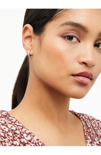 ted baker seenita earrings