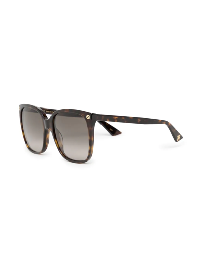 Shop Gucci Tortoiseshell Square-frame Sunglasses In Brown