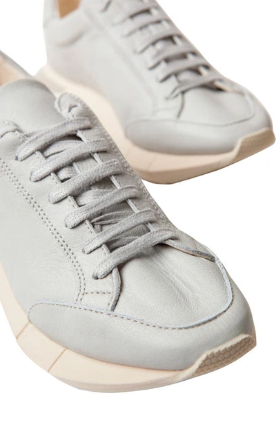 Shop Paloma Barceló Lisieux Sneaker In Light Grey