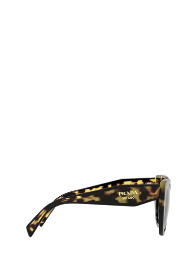 Prada Womens Black Pr14ws Cat Eye-frame Acetate Sunglasses In Black / Medium Tortoise