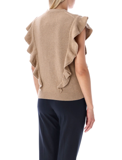 Shop Chloé Sleeveless Knit Top In Pale Brown