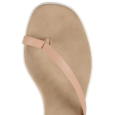 Shop Stella Mccartney Powder Strap Sandals