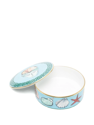 Ginori 1735 Shell-print Trinket-dish In Blau