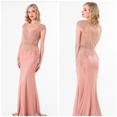 Pre-owned Terani Couture 1522e0469 Cap Sleeve Blush Gown With Illosion Back $798 All Size In Pink