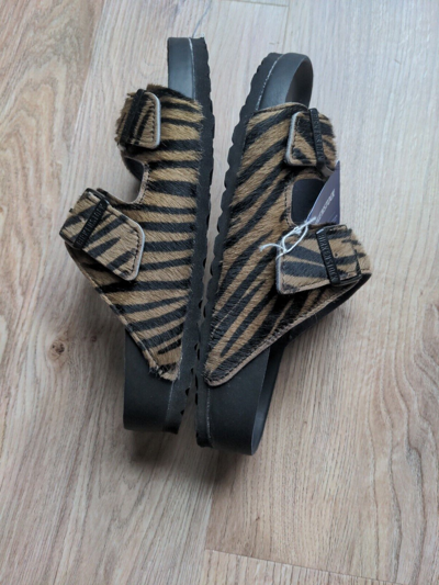 Pre owned Birkenstock Zebra Tiger Calf Hair Exquisite Leather Sandals Womens 9 9.5 Eu 40 In Black ModeSens