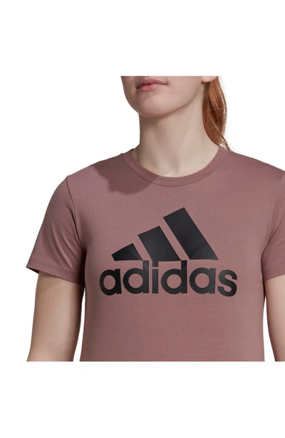 Shop Adidas Originals Logo Print Cotton T-shirt In Wonder Oxide/ Black