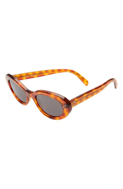 Shop Celine 53mm Cat Eye Sunglasses In Shiny Spotted Havana/ Smoke