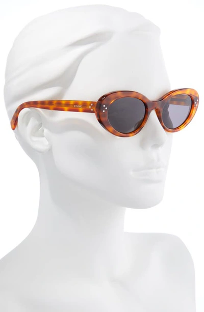 Shop Celine 53mm Cat Eye Sunglasses In Shiny Spotted Havana/ Smoke