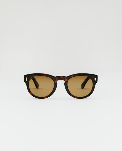Shop Ag Primo Sunglasses In Polar Mineral Glass-brown