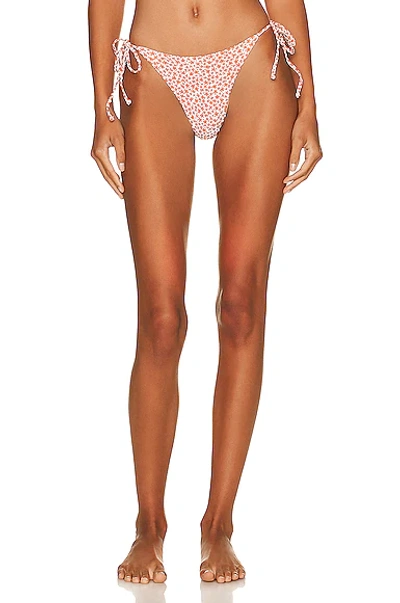 Shop Matteau String Brief Bikini Bottom In Starflower