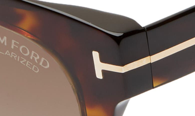 Shop Tom Ford Sari 52mm Square Polarized Sunglasses In Dark Havana/ Brown