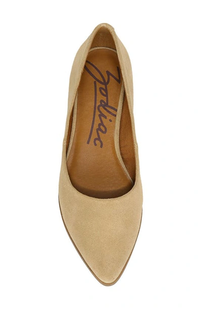 Shop Zodiac Hill Pointy Toe Flat In Sand