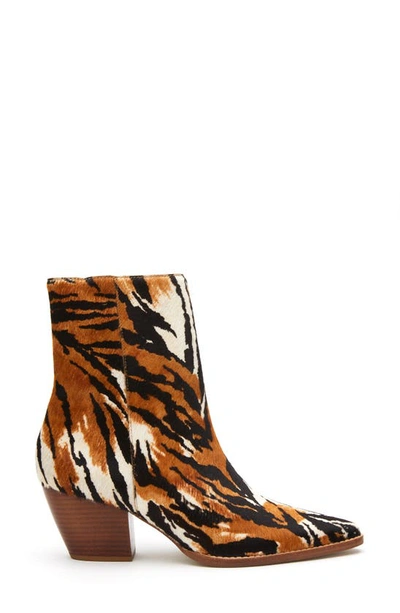 Shop Matisse Caty Western Pointed Toe Bootie In Brown Zebra