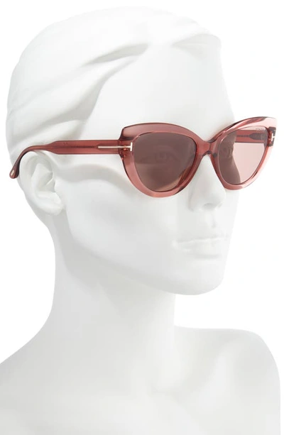 Shop Tom Ford Anya 55mm Cat Eye Sunglasses In Antique Dark Pink/ Pale Brown