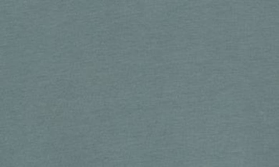 Robert Barakett Georgia Crewneck T-shirt In Balsam Green