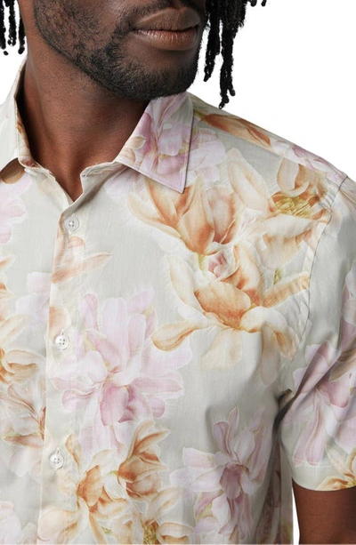 Shop Good Man Brand Big On-point Short Sleeve Stretch Organic Cotton Button-up Shirt In Egret Blurred Floral