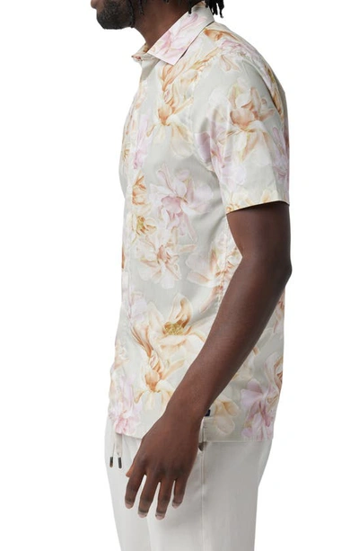 Shop Good Man Brand Big On-point Short Sleeve Stretch Organic Cotton Button-up Shirt In Egret Blurred Floral