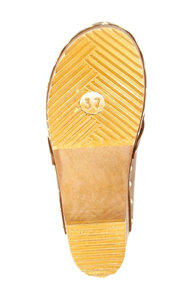 Charles David Siena Clog In Cognac-lech