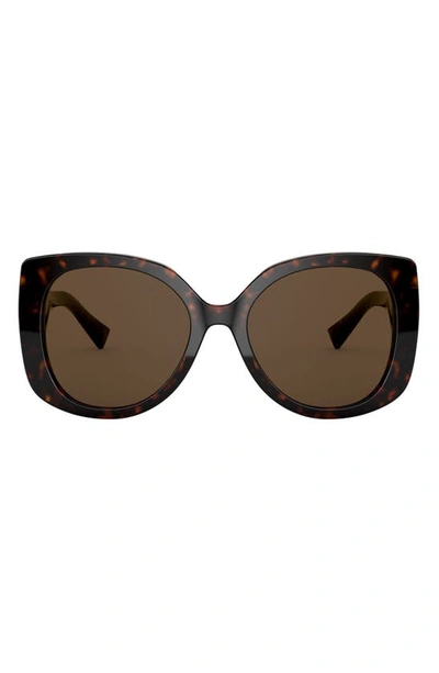 Shop Versace 56mm Butterfly Sunglasses In Havana/ Brown