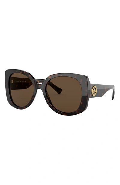 Shop Versace 56mm Butterfly Sunglasses In Havana/ Brown