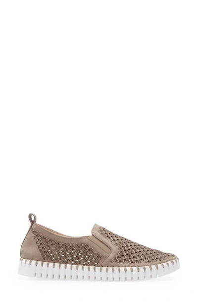 Shop Ilse Jacobsen Tulip Slip-on Sneaker In Falcon