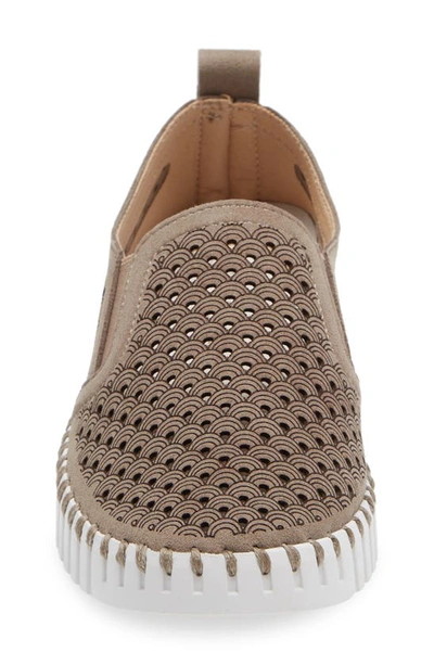 Shop Ilse Jacobsen Tulip Slip-on Sneaker In Falcon