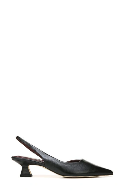 Sarto By Franco Sarto Devin Pointed Toe Slingback Pump In Black