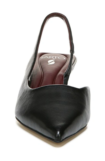 Sarto By Franco Sarto Devin Pointed Toe Slingback Pump In Black
