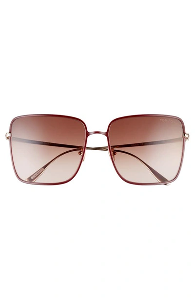 Tom Ford Heather Polarized 60mm Square Sunglasses In Brown/ Gradient Brown  | ModeSens
