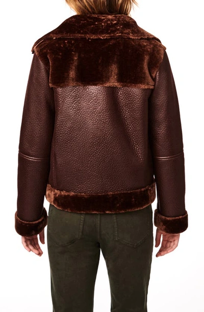 Bernardo Crop Mixed Media Aviator Jacket In Brown