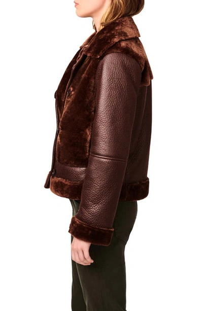 Bernardo Crop Mixed Media Aviator Jacket In Brown