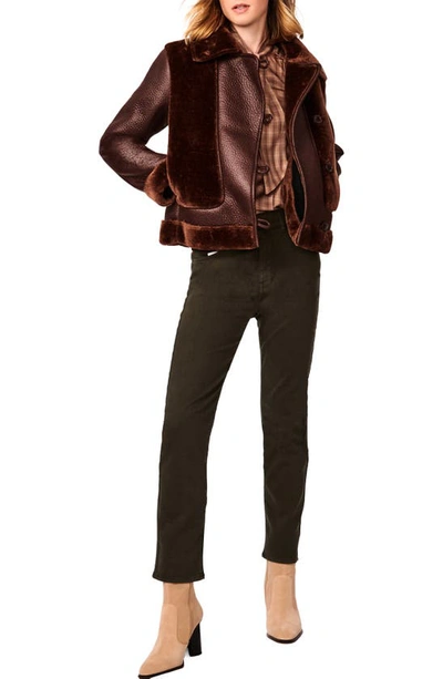 Bernardo Crop Mixed Media Aviator Jacket In Brown