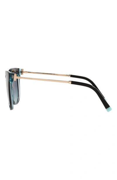 Shop Tiffany & Co 55mm Gradient Cat Eye Sunglasses In Black Blue