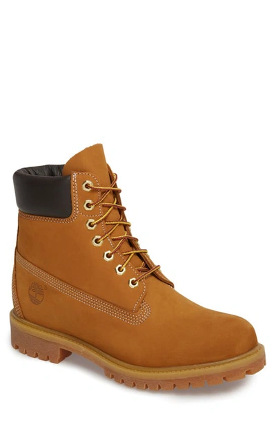 Shop Timberland 6-inch Premium Waterproof Boot In Wheat