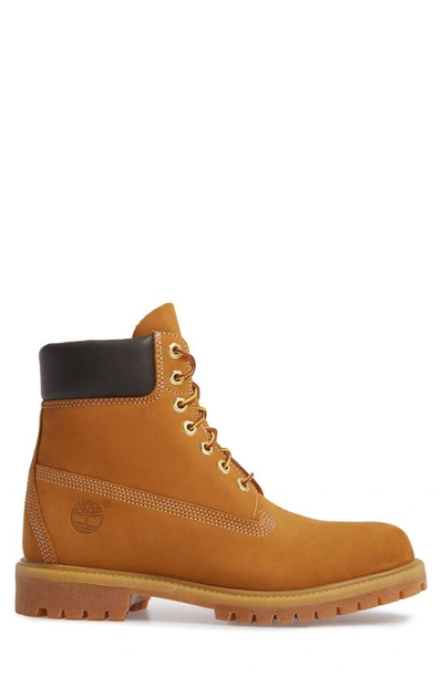 Timberland Premium Waterproof Leather Work Boots In Wheat