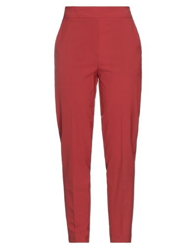 Shop Momoní Woman Pants Brick Red Size 6 Virgin Wool, Polyester, Elastane
