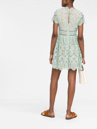 Shop Self-portrait Lace-panel Short-sleeve Dress In Green