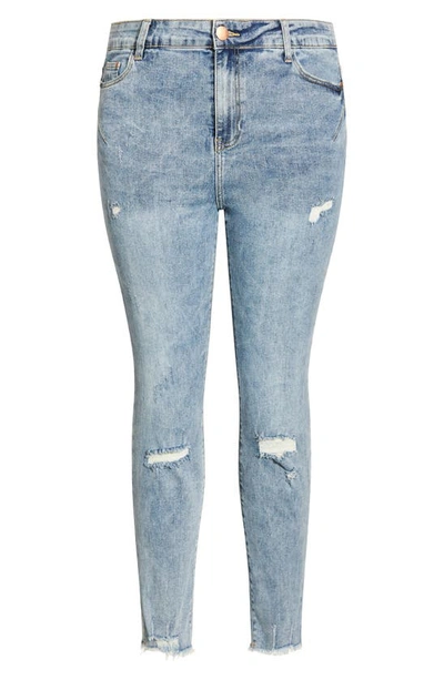 Shop City Chic Asha Nora Distressed High Waist Skinny Jeans In Light Wash