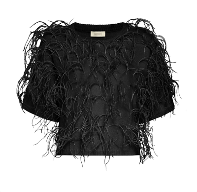 Shop Lapointe Cashmere Tee With Feathers In Black