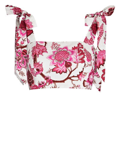 Shop Cara Cara Jill Tie-shoulder Floral Crop Top In Pink