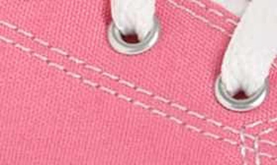 Converse Chuck Taylor® Low Top Sneaker In Pink