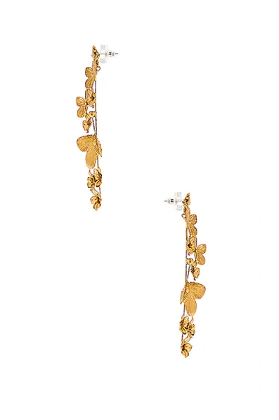 Shop Jennifer Behr Galilea Earrings In Gold