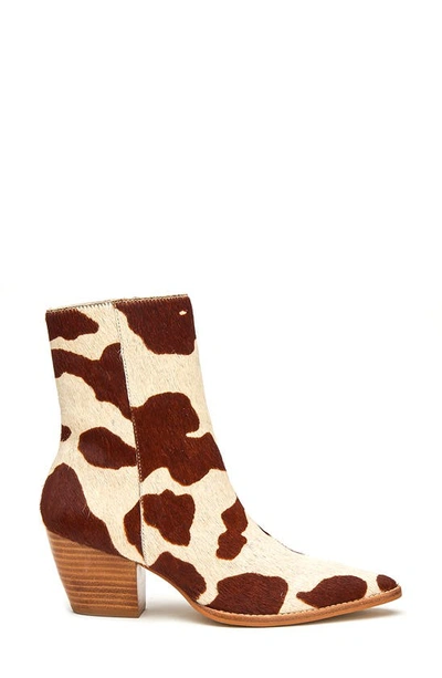 Shop Matisse Caty Western Pointed Toe Bootie In Brown/ White Calf Hair