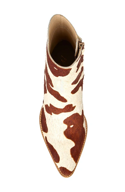 Shop Matisse Caty Western Pointed Toe Bootie In Brown/ White Calf Hair