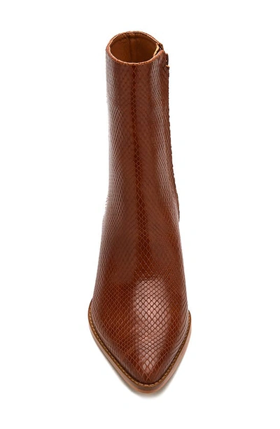 Shop Matisse Caty Western Pointed Toe Bootie In Tobacco Snake Leather