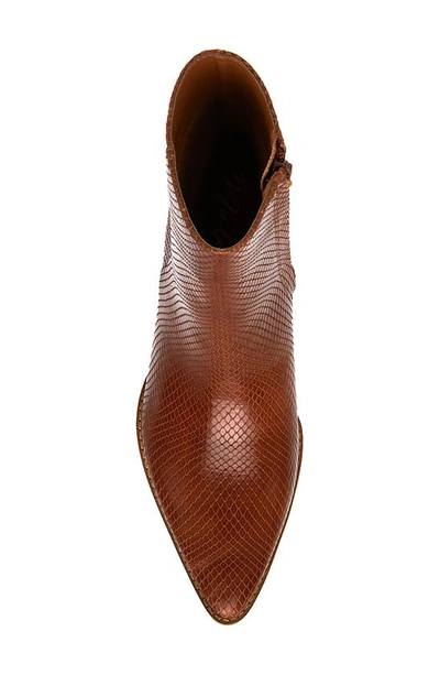 Shop Matisse Caty Western Pointed Toe Bootie In Tobacco Snake Leather