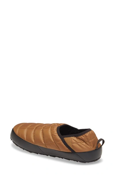 Shop The North Face Thermoball™ Traction Water Resistant Slipper In Brown/ Black