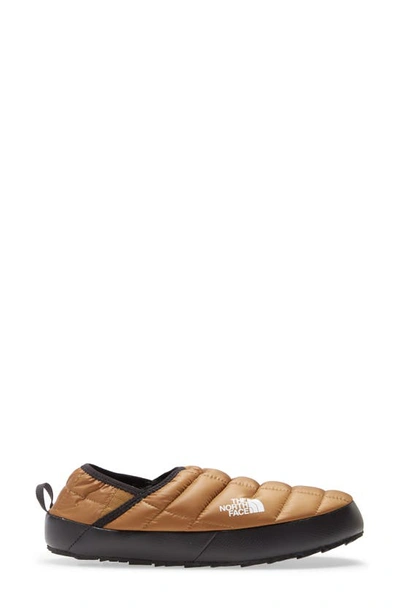 Shop The North Face Thermoball™ Traction Water Resistant Slipper In Brown/ Black