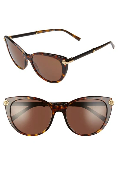 Shop Versace 55mm Cat Eye Sunglasses In Havana Solid